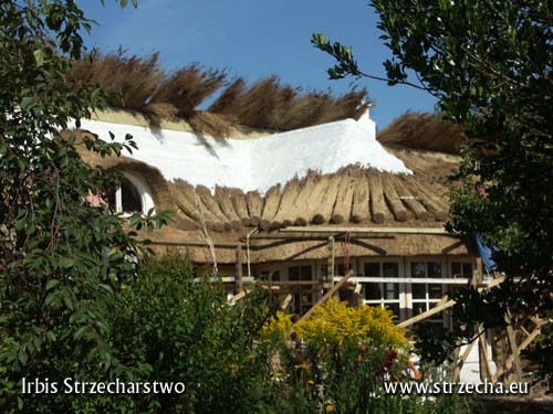 Thatch, reed roof: security requires construction protection in the Sepatec system - the entire roof must be tightly covered with fire-proof insulation