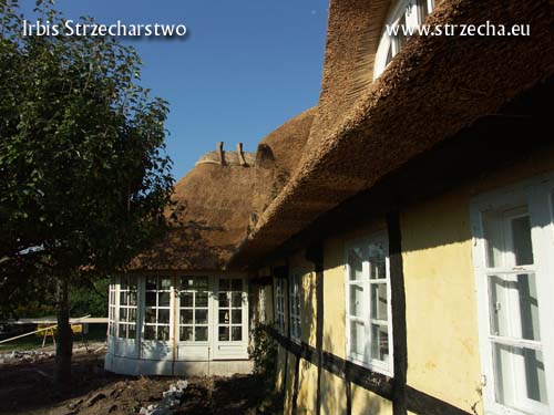 Reed Roof: built another winter garden covered with thatch, construction Irbis Thatching