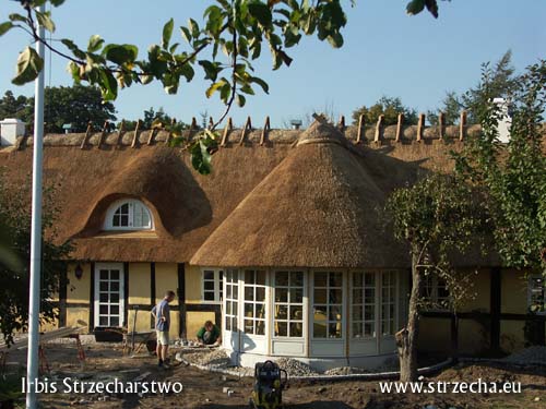 Thatch, reed roof: made by Irbis
