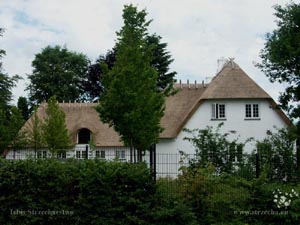 Thatch, roof covered with reed on the roadside building