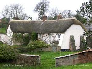 straw roof in a country house in England