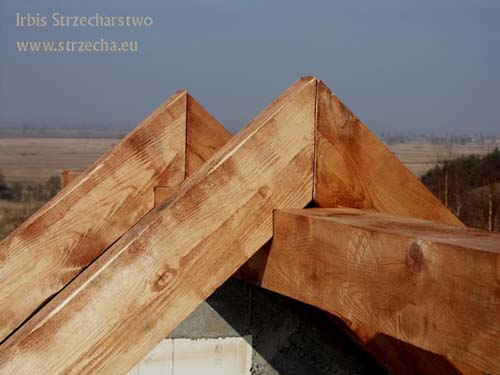 Irbis Thatching: rafters based on a ridge beam