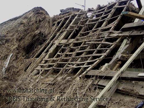 Irbis Thatching: that's how one of the projects started