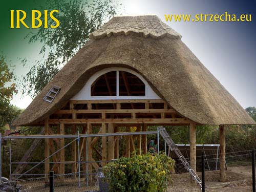 Covering thatched woodshed using unnecessary windows - English ridge, straw woven with hazel spars