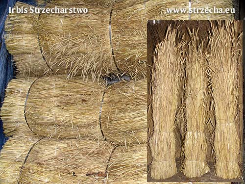Irbis Thatching Supplier - rye straw in roof bundles (perimeter 70cm, length 120-150cm)