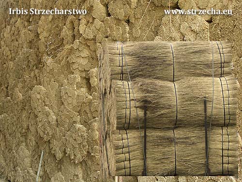 Irbis Thatching Supplier - roof reed in bundles - bales (60cm bend, length 150-220cm)