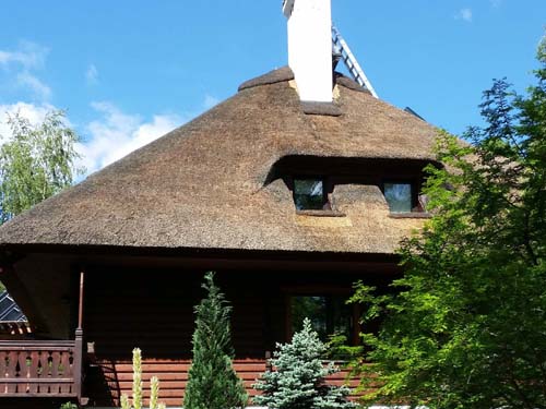 Thatch - eastern side of the roof after repair