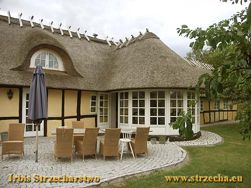 A house in the Danish province - thatched roofing after renovation