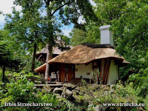 Gazebo with grill - thatched roof Irbis