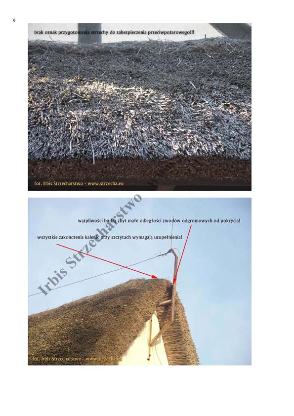 Thatch, reed roof: Sample technical opinion p.6