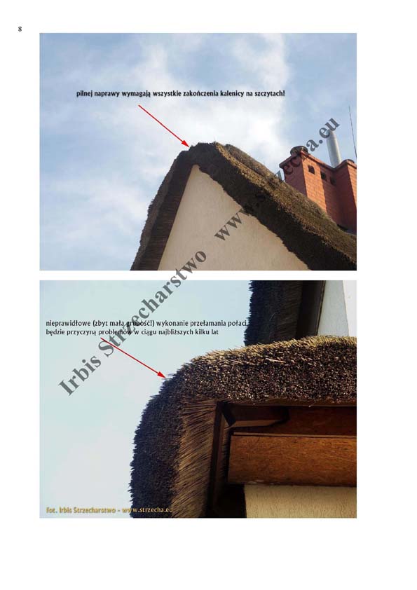 Thatch, reed roof: Sample technical opinion p.8