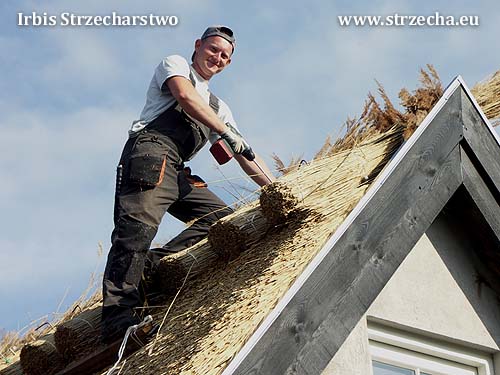 Work at Irbis Thatching Re-Thatching Service - qualifications, perspectives, future!