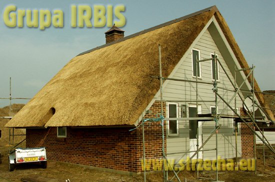 Thatching & Rethatching Service - IRBIS Strzecharstwo - trzcinowa strzecha na domku całosezonowym realizowanym w Danii!