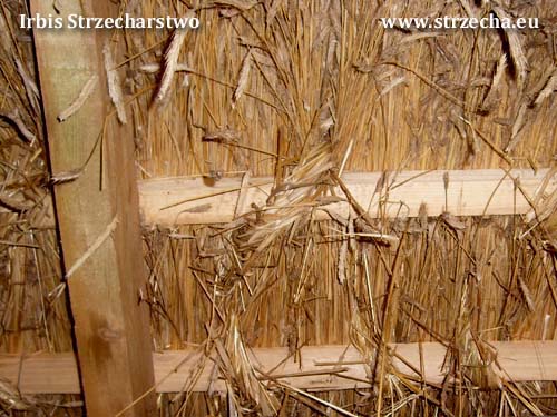 Historic wooden hut - the nature of the object required at least the visual behavior of the original thatch technology, hence its binding has grown