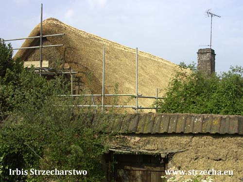 Efekt końcowy renowacji/wymiany strzechy słomianej w Anglii - tu można zobaczyć jak słoma układa się na dachu