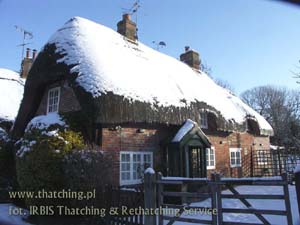English Wildshire - reed roof